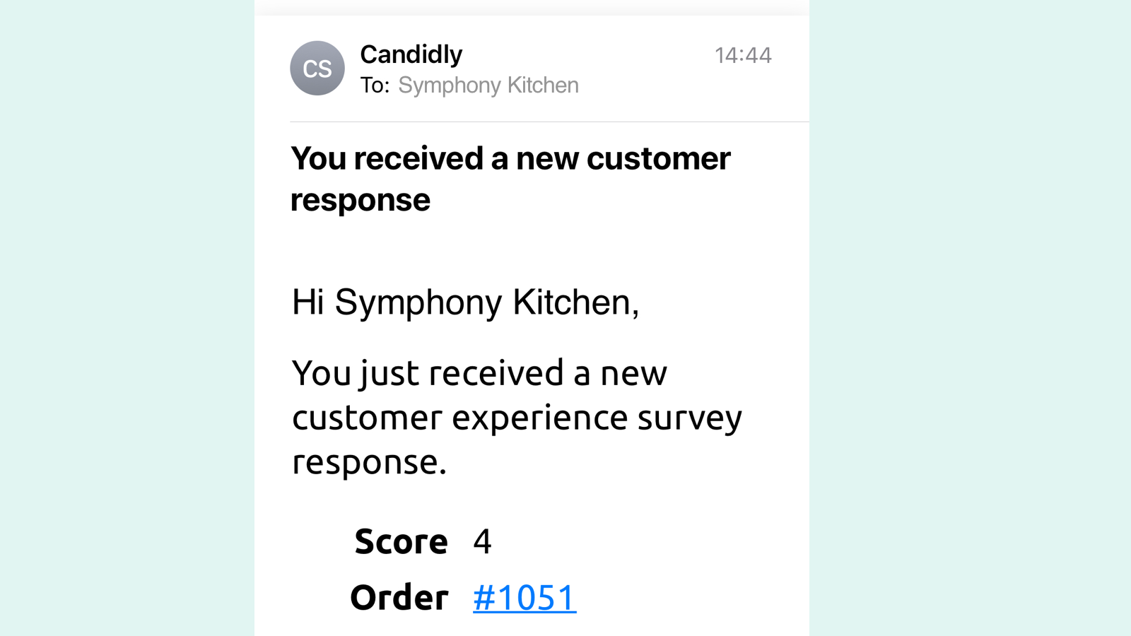 A email screenshot notifying the store a rating was received