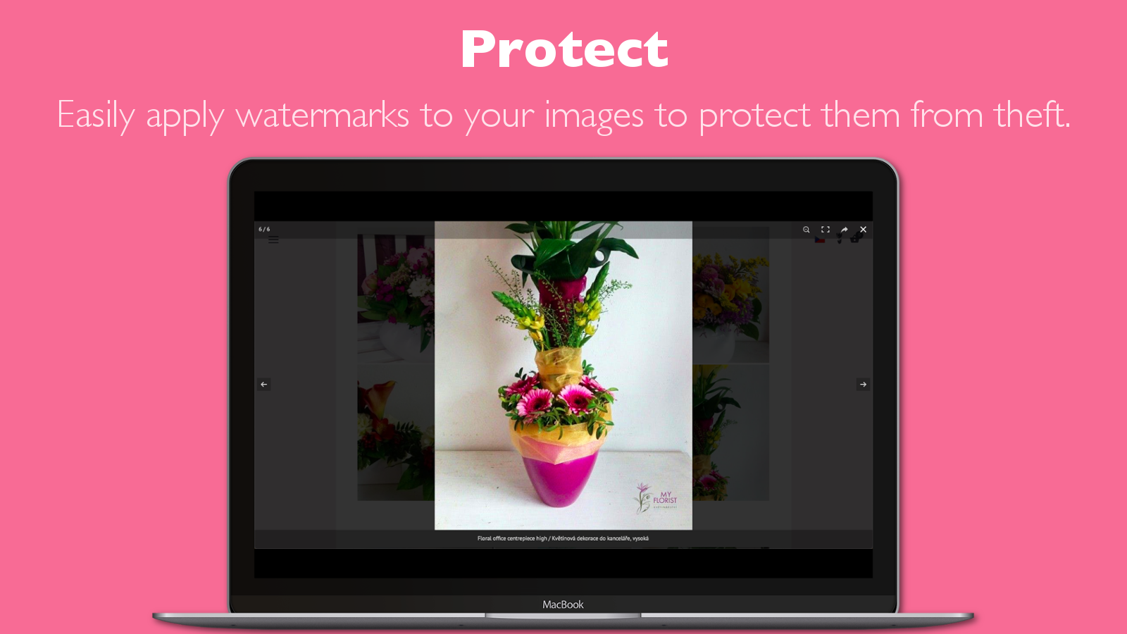 Apply watermarks to your photo gallery images to protect them.