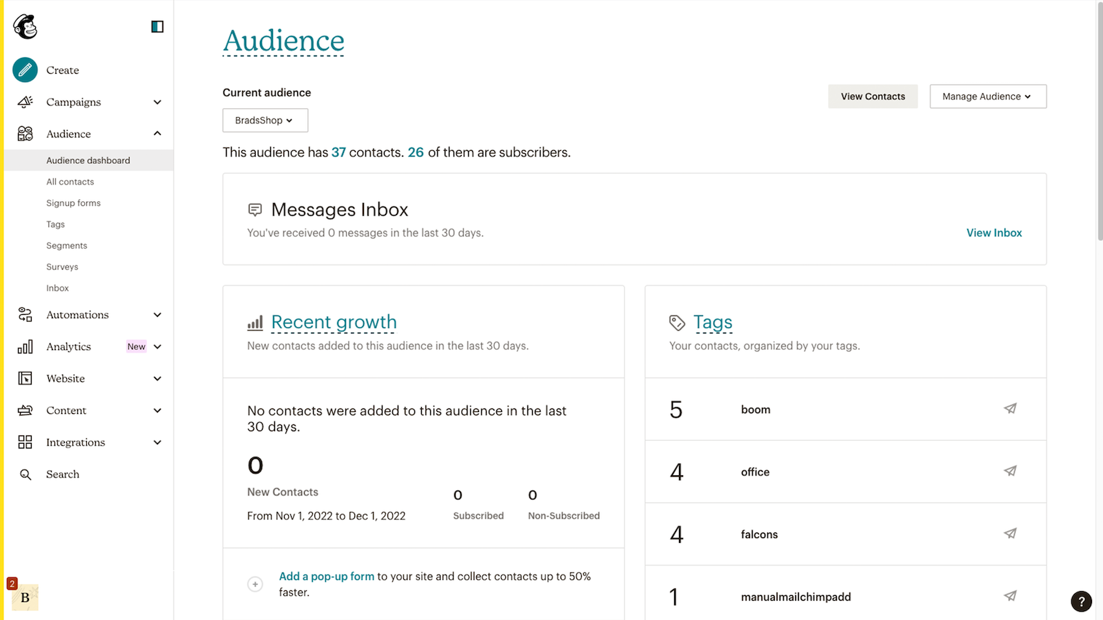 Audience dashboard showing growth and performance