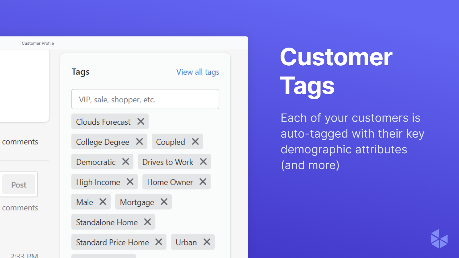 Auto-tag your customers with important demographic attributes