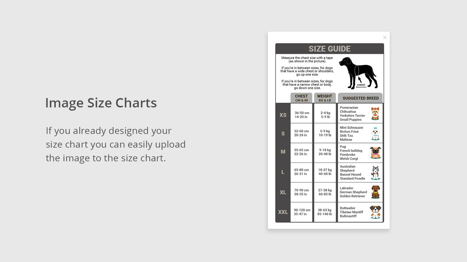 Best Size chart app for shopify, size guide, 