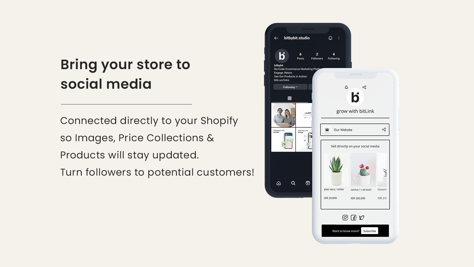 Bring your own store to social media
