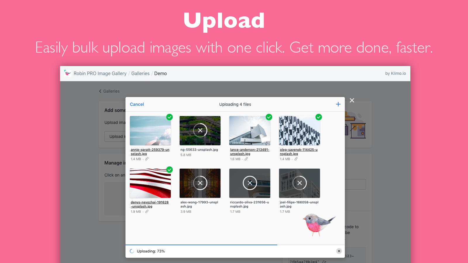Bulk upload your photo gallery images with one click