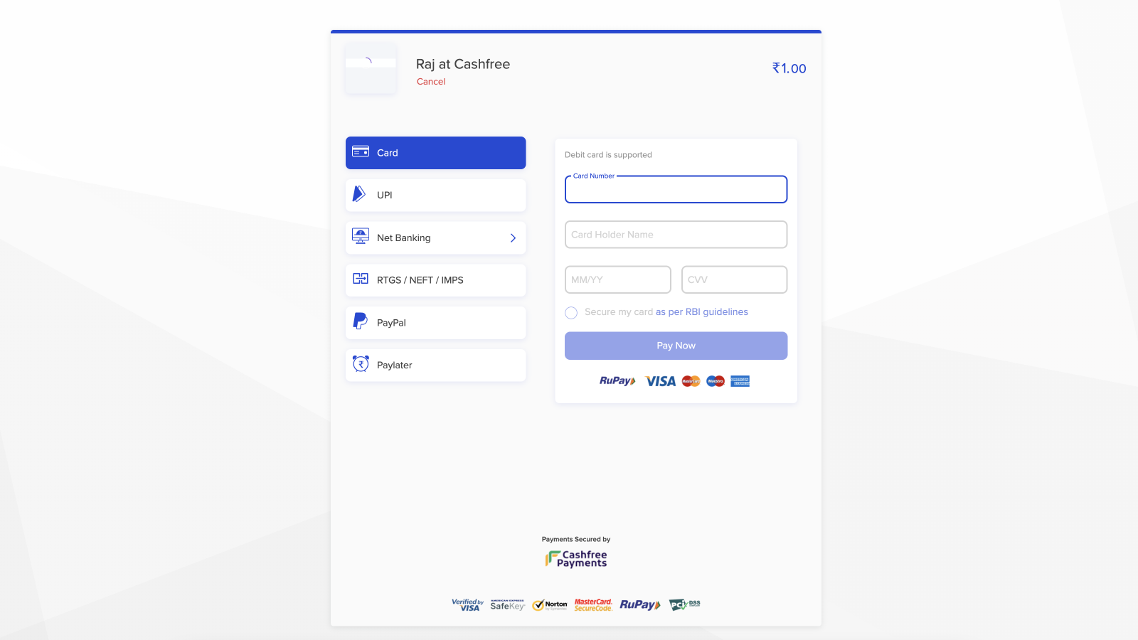 Cashfree Payments Checkout Page