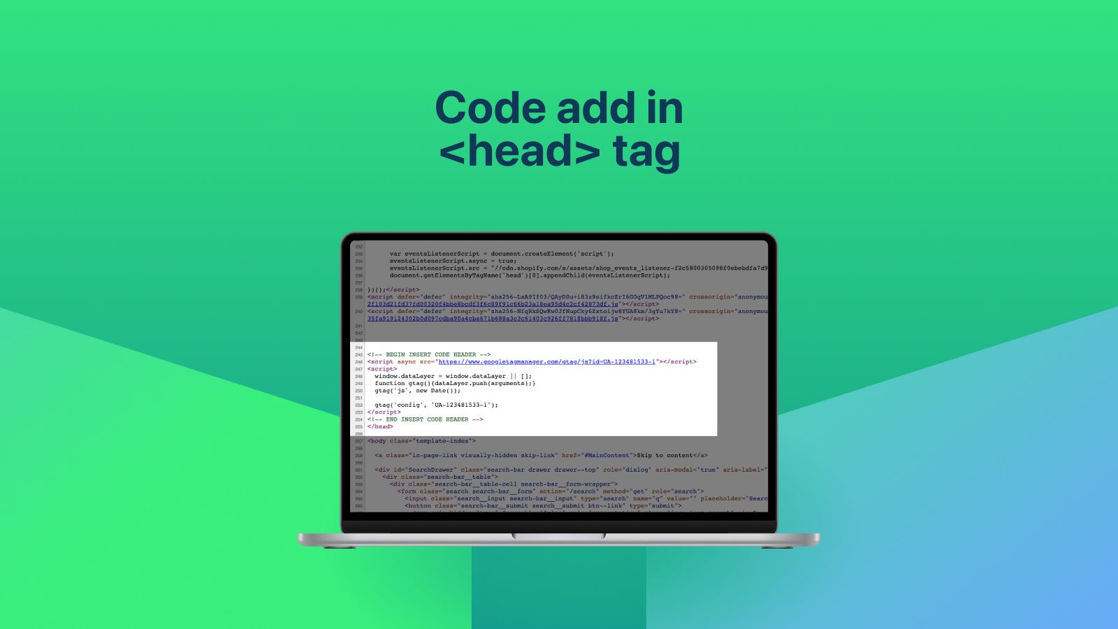 Code add in <head> tag