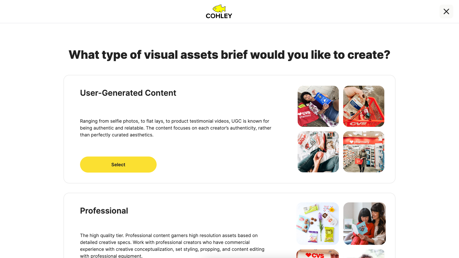 Create a new visual asset brief