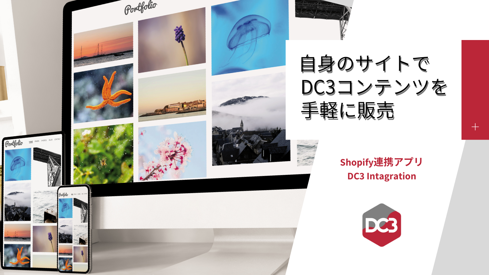 自身のサイトでDC3コンテンツを手軽に販売のスクリーンショット画像