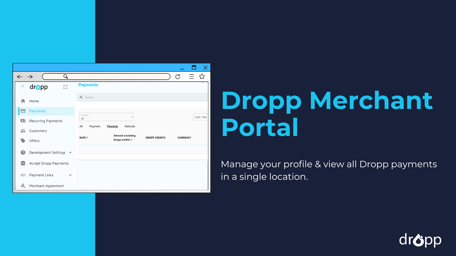 Dropp Merchant Portal for extended functionality