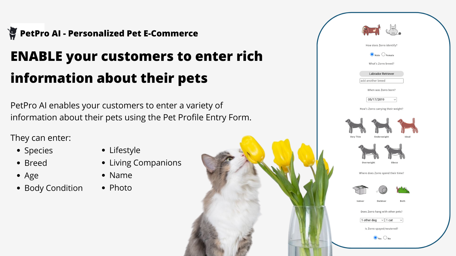 Enable your customers to enter rich information about their pets