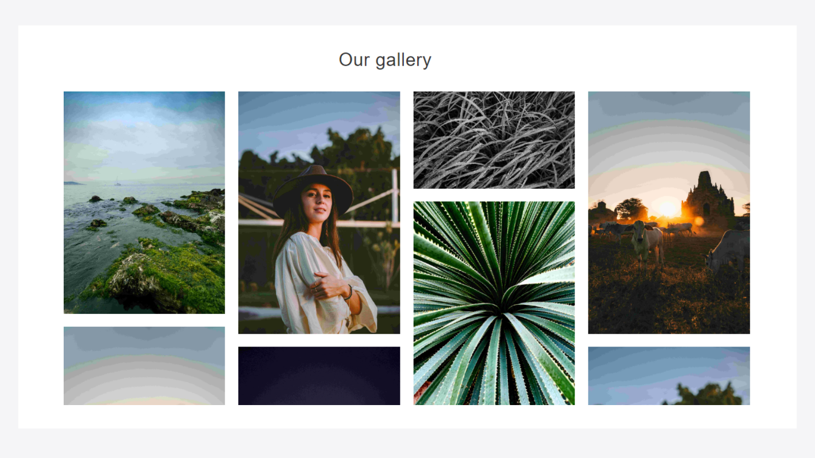 gallery_view