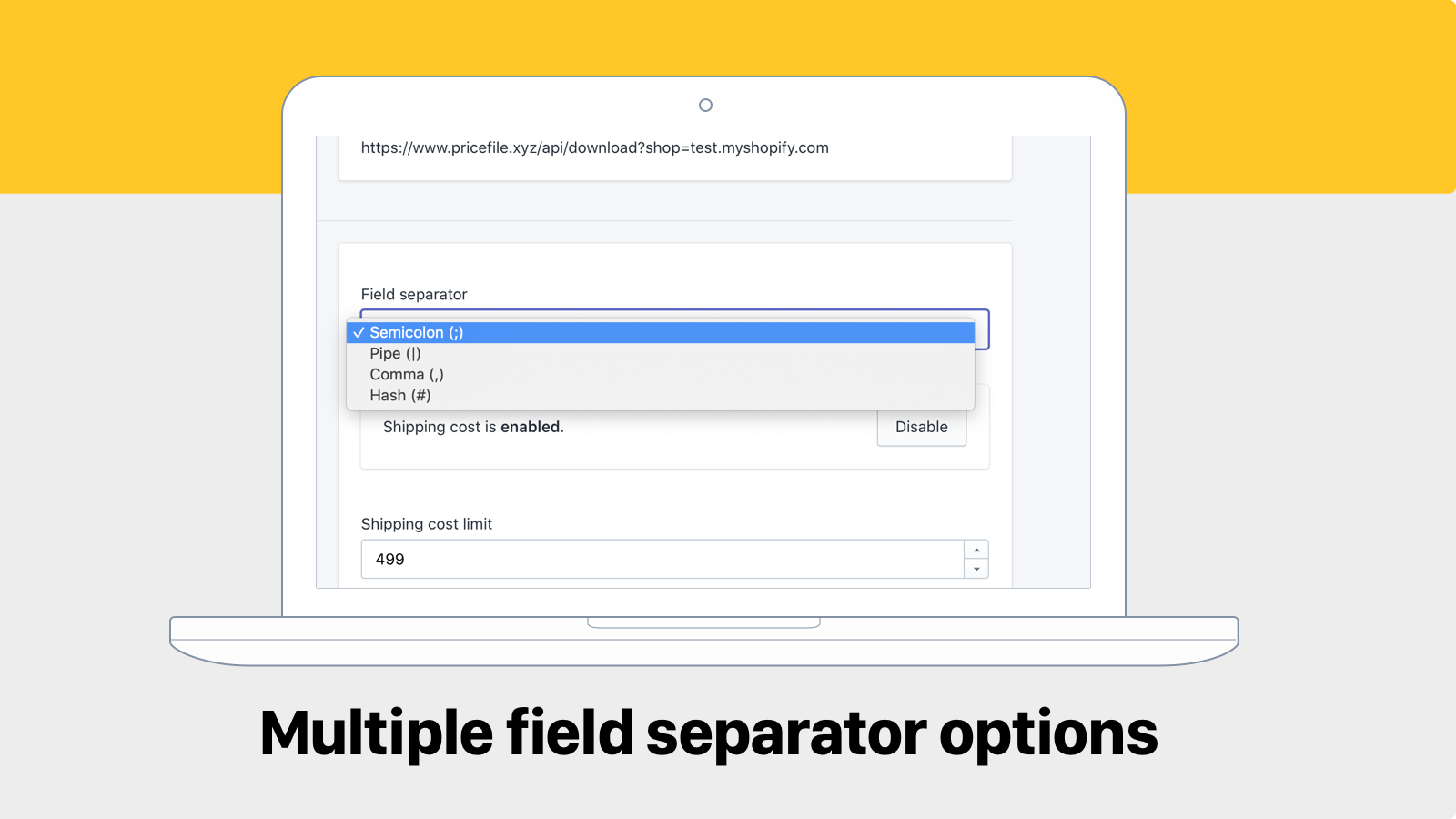Multiple field separator options