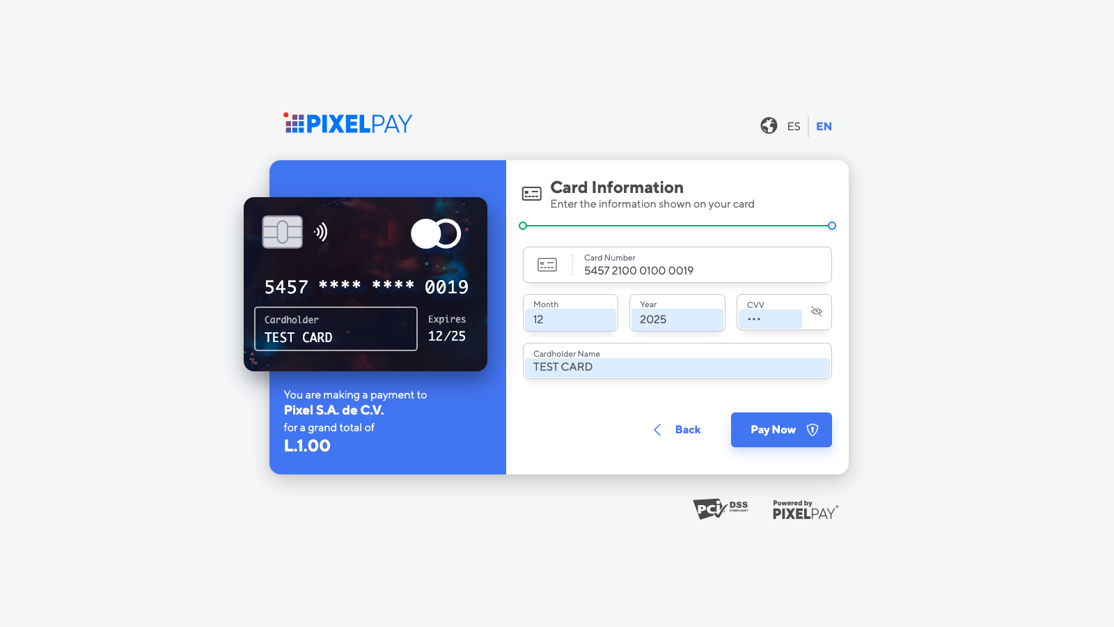 Payment Card Details Example