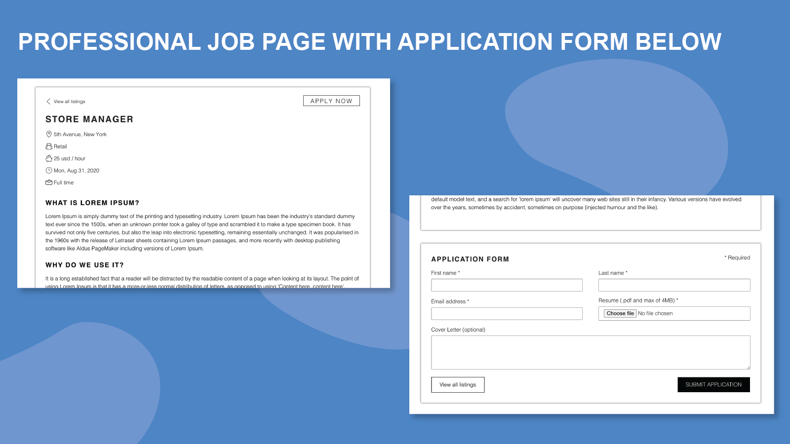 Professional job page with application form below