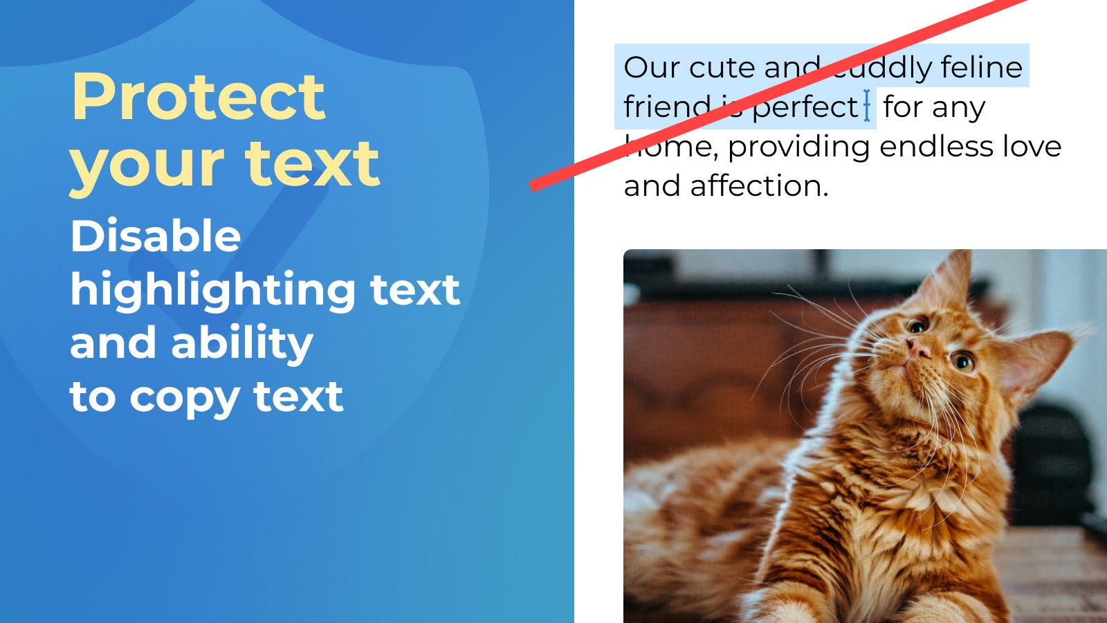 Protect your text: Disable highlighting text and ability to copy