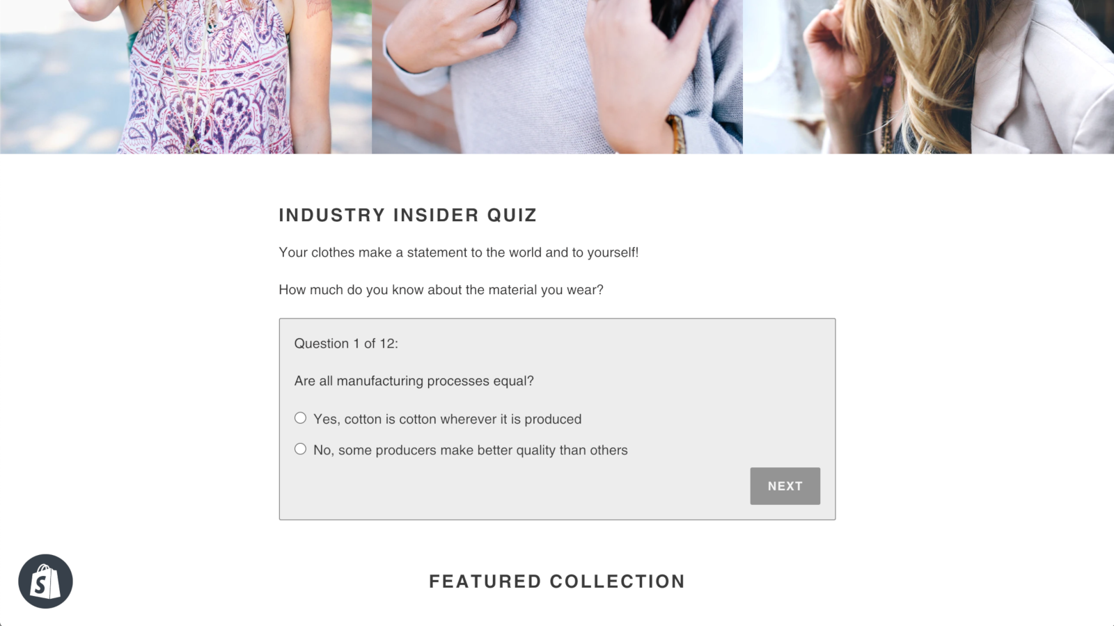 Quiz in online Shopify store