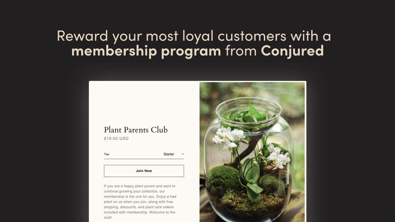 reward-loyal-customers