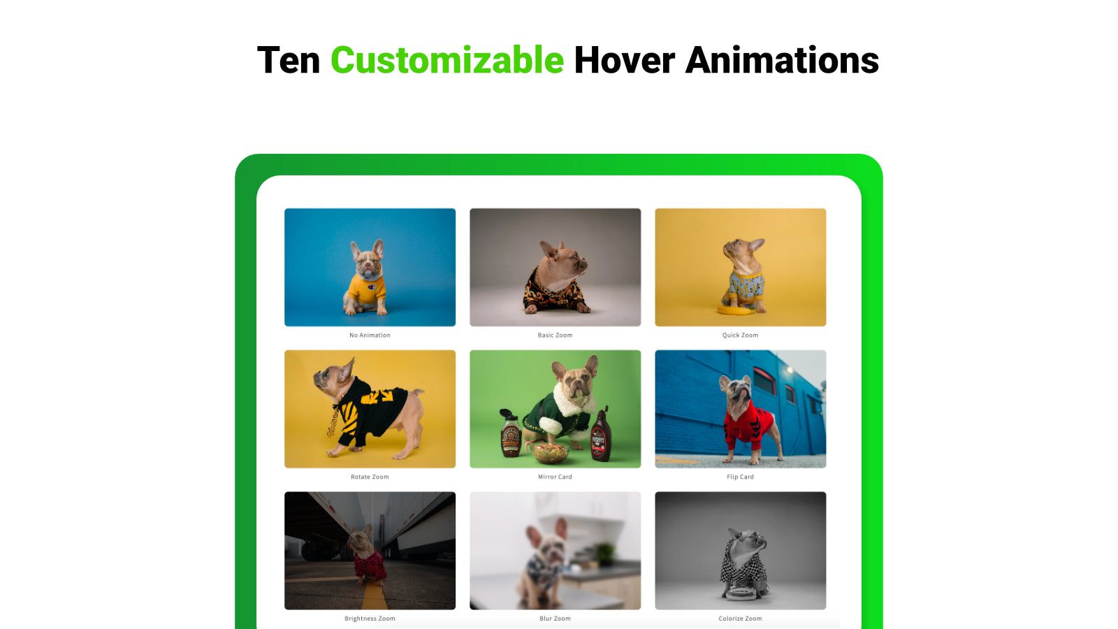 second image hover animation - hover effect animation