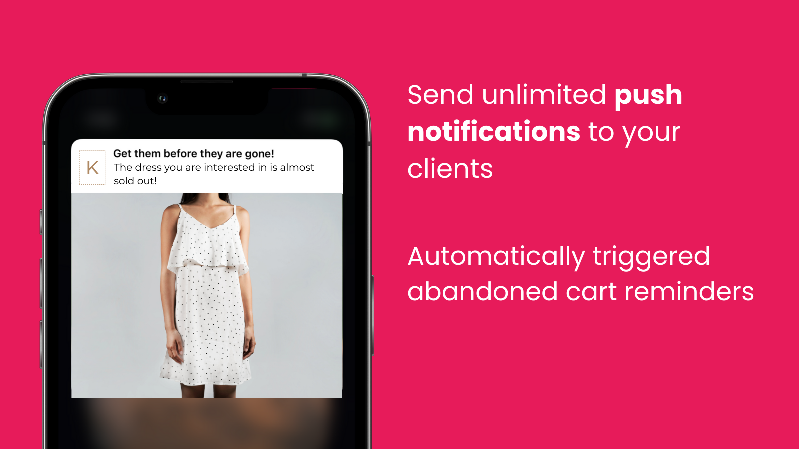 Send unlimited push notifications to your clients