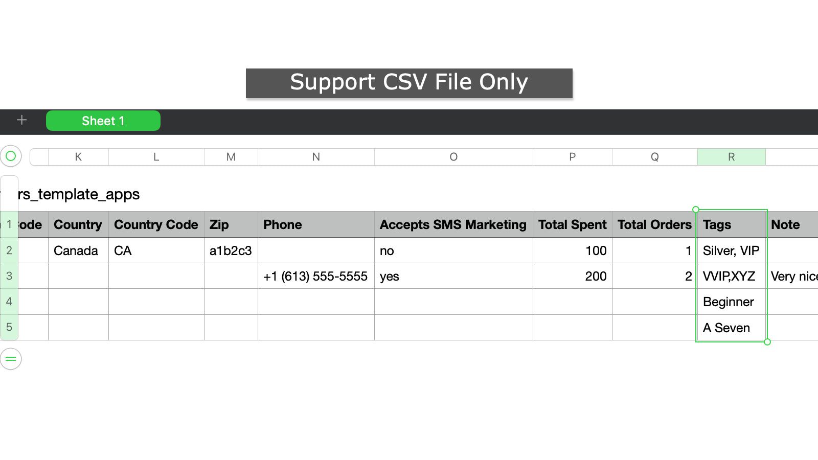 Support customer CSV template