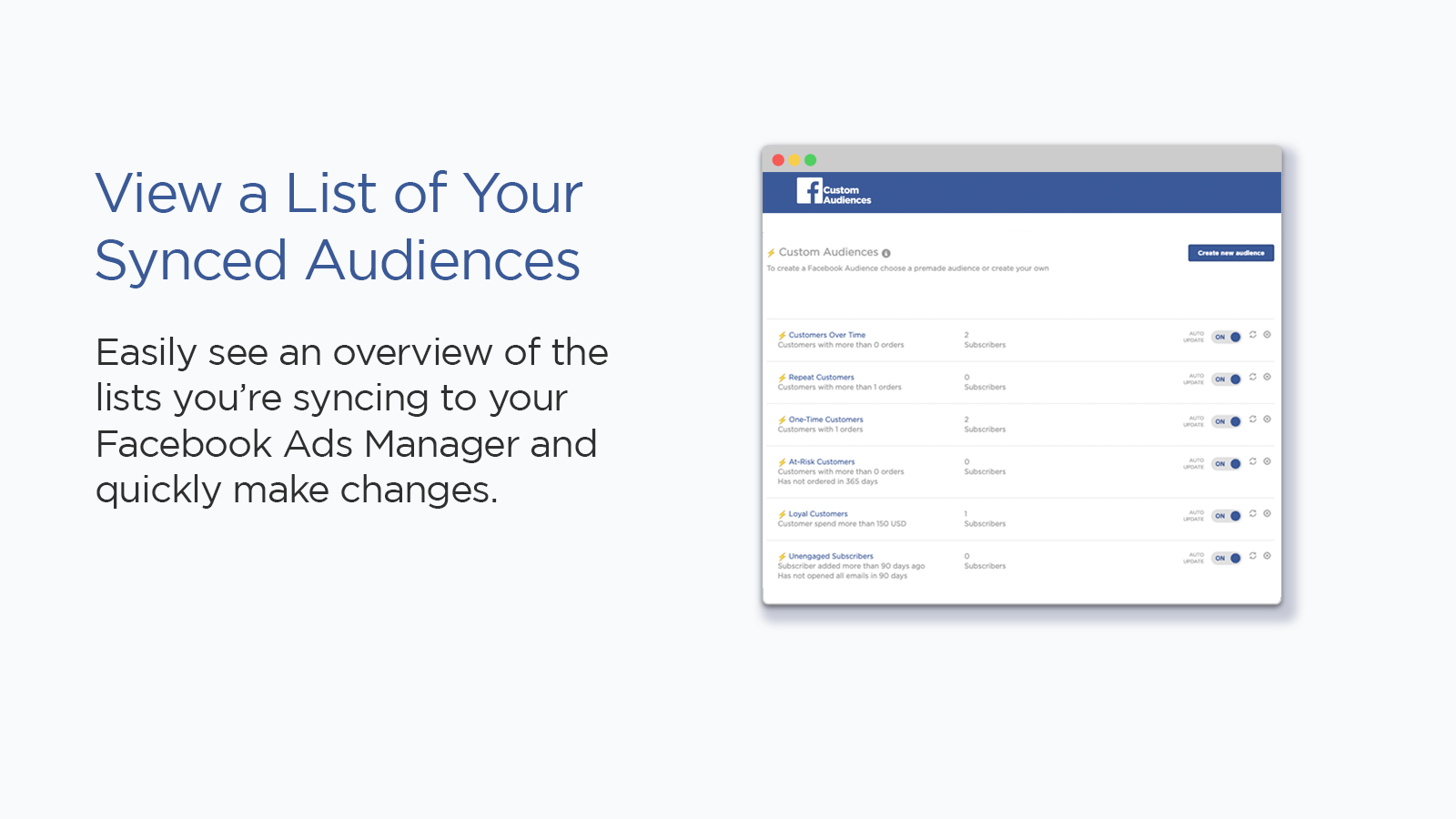 view a list of all your facebook audiences