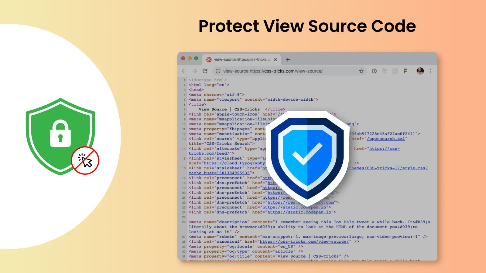 View source protection