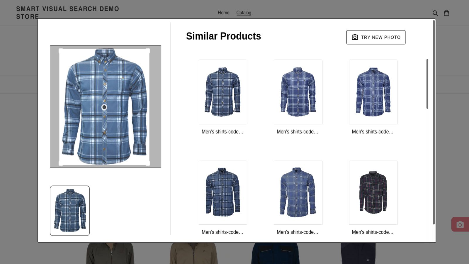 Visual Search Results